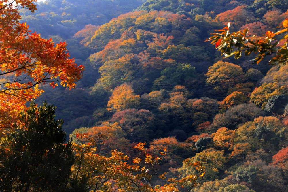 Без_названия_1600_x_1067_пикс_.389