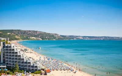 Без названия